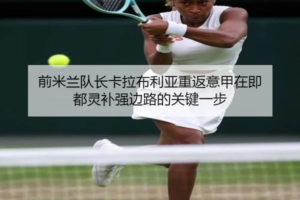 前米兰队长卡拉布利亚重返意甲在即 都灵补强边路的关键一步
